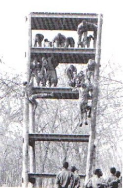 $The-Tower.jpg