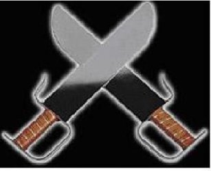 $Butterfly swords.JPG