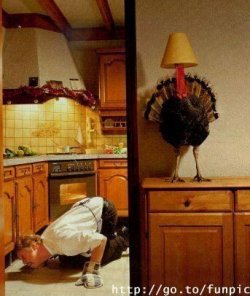 $Turkey 2.jpg