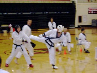 $basicstosparring.jpg