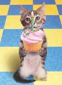 $Cupcake.jpg