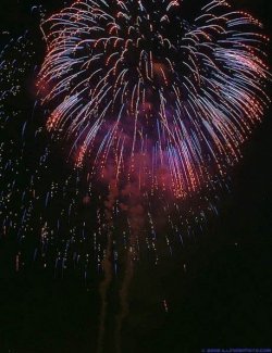 $fireworks 04.jpg
