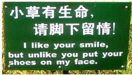 $chinese_translation.jpg