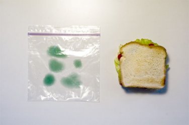 $A MOLD SANDWICH 01.jpg
