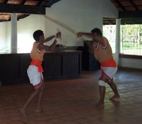 $Kalaripayattu 1 for TIE.jpg
