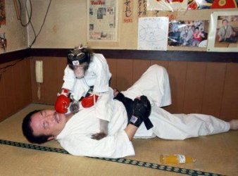 $boxer_monkey_07.jpg