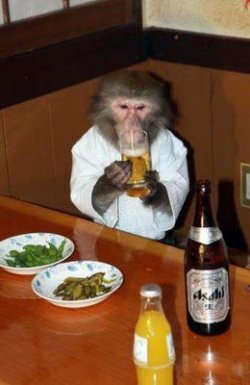 $boxer_monkey_10.jpg