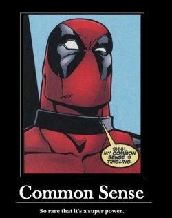 $common sense2.JPG