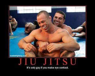 $gayjiujitsu.jpg