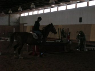 $at the canter.jpg