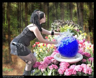 $_MG_1384_web.jpg