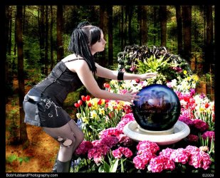 $_MG_1384d_web.jpg