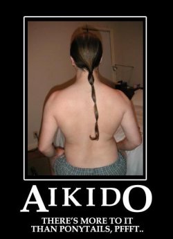 $Aikido More Than Ponytails.JPG