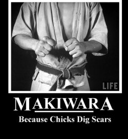 $Chicks Dig Scars.jpg