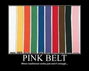 $Pink Belt.JPG