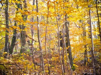 $Grand Monadnock 016.jpg