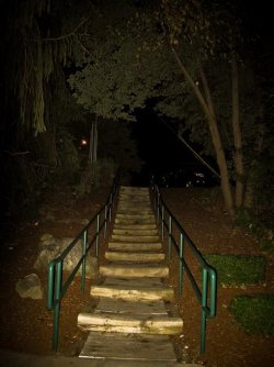 $Picture 037.jpg