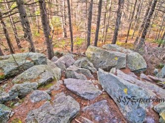 $North Pack Monadnock.jpg