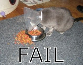 $FAIL-lolcats.jpg