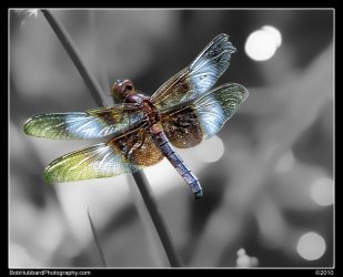 $DSC_0358_web.jpg
