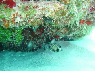 $ta-PICT0177.JPG