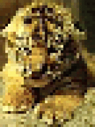 Shotochem