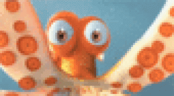 Cephalopod