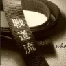 WhiteBeltNoStripe