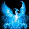 Blue_Phoenix