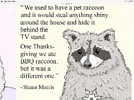 Racoons