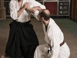 Internal Wing Chun and External Wing Chun