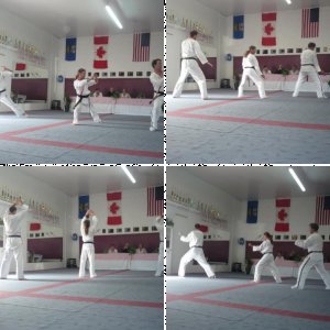 TKD pics