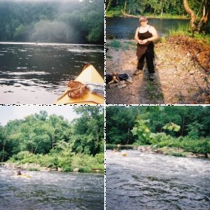 Critters and the outdoors