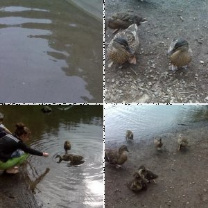 At the lake ...