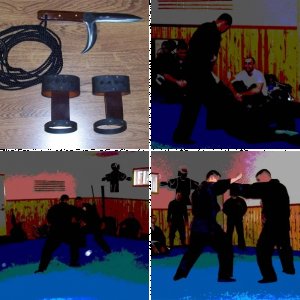 Shihan Mike Asuncion Budo Taijutsu Seminar Photos 2007 & 2008 Brian R. VanCise