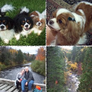 Random photos