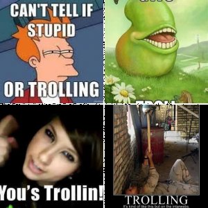 Troll Be Gone