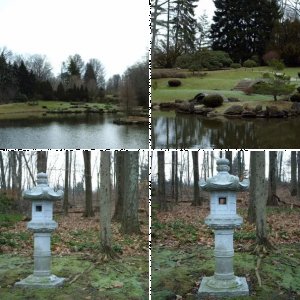 Dawes Arboretum Japanese Garden