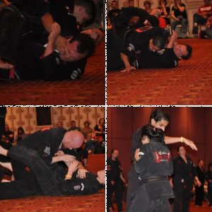 Album 1:  Belt Testing at 2010 Jeff Speakman's Training Camp in Las Vegas