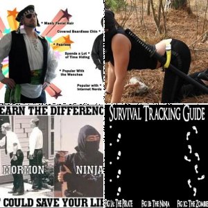 Ninjas and Pirates