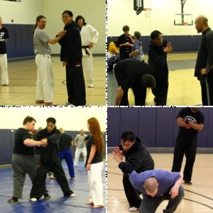 YMAA Chin Na - White Crane Seminar