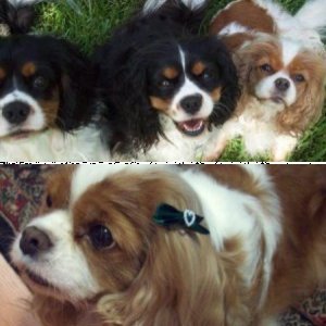 Random photos