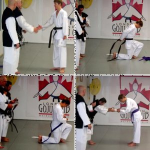 Meibukan Tournament 2011
