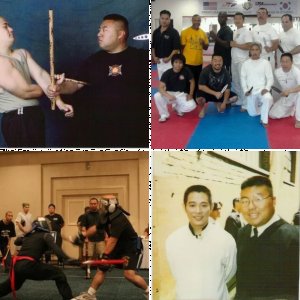 Hapkido/ Kali/ MMA