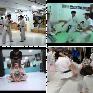 Shinkyokushin Karate