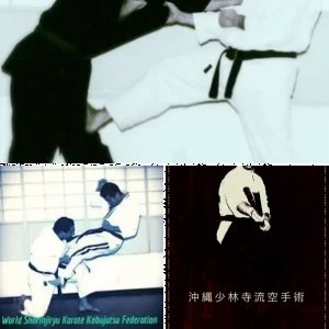 Okinawa Karate