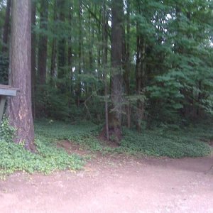 Path around the lake.