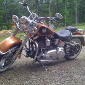 '08 Softail