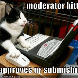 moderator kitteh