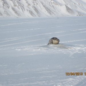 IMG 0859